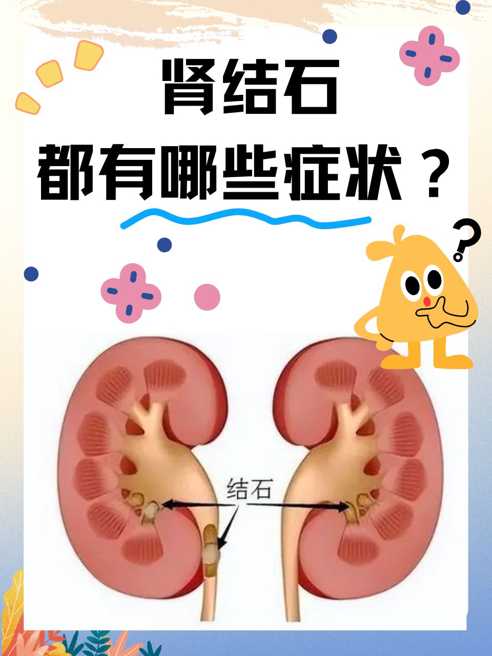 肾结石的形成原因