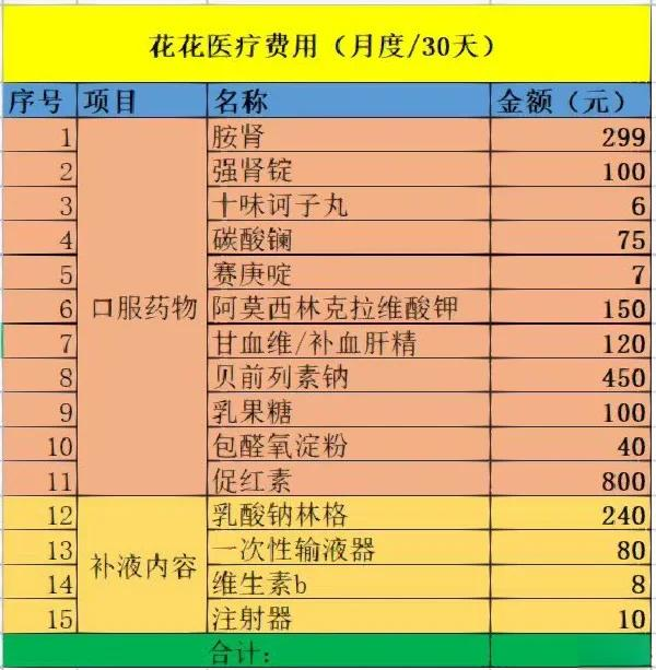 肾移植需要多少钱?