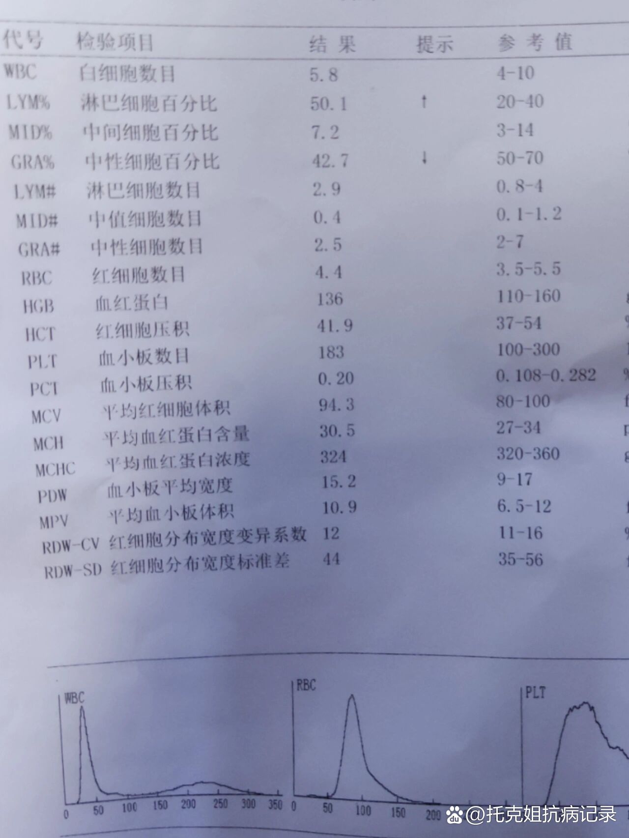 嗜中性粒细胞绝对值偏高