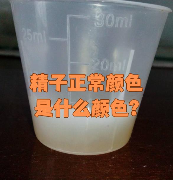 精子是什么颜色的