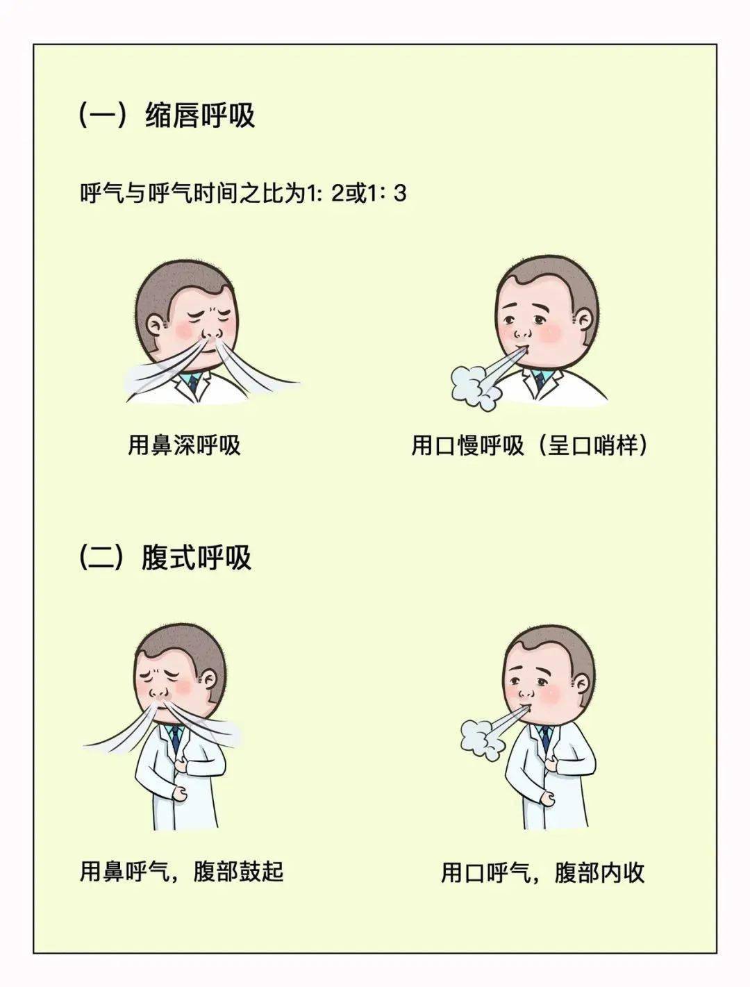 呼吸运动如何控制