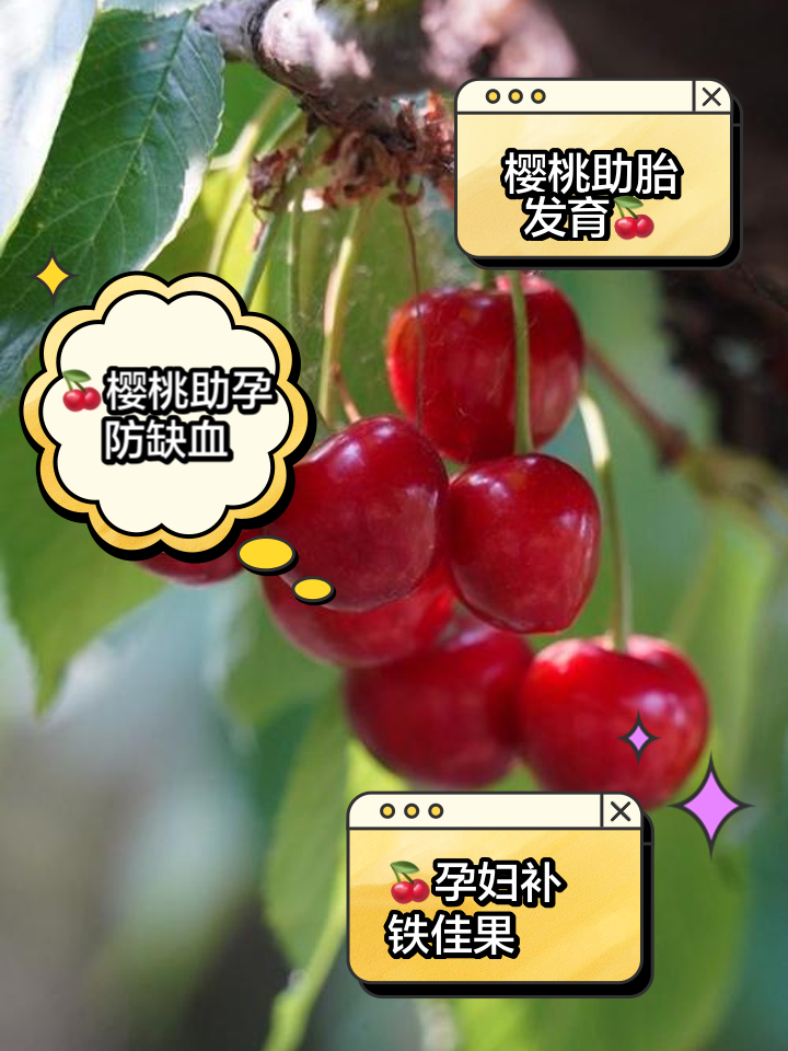 孕期孕妇能不能吃樱桃