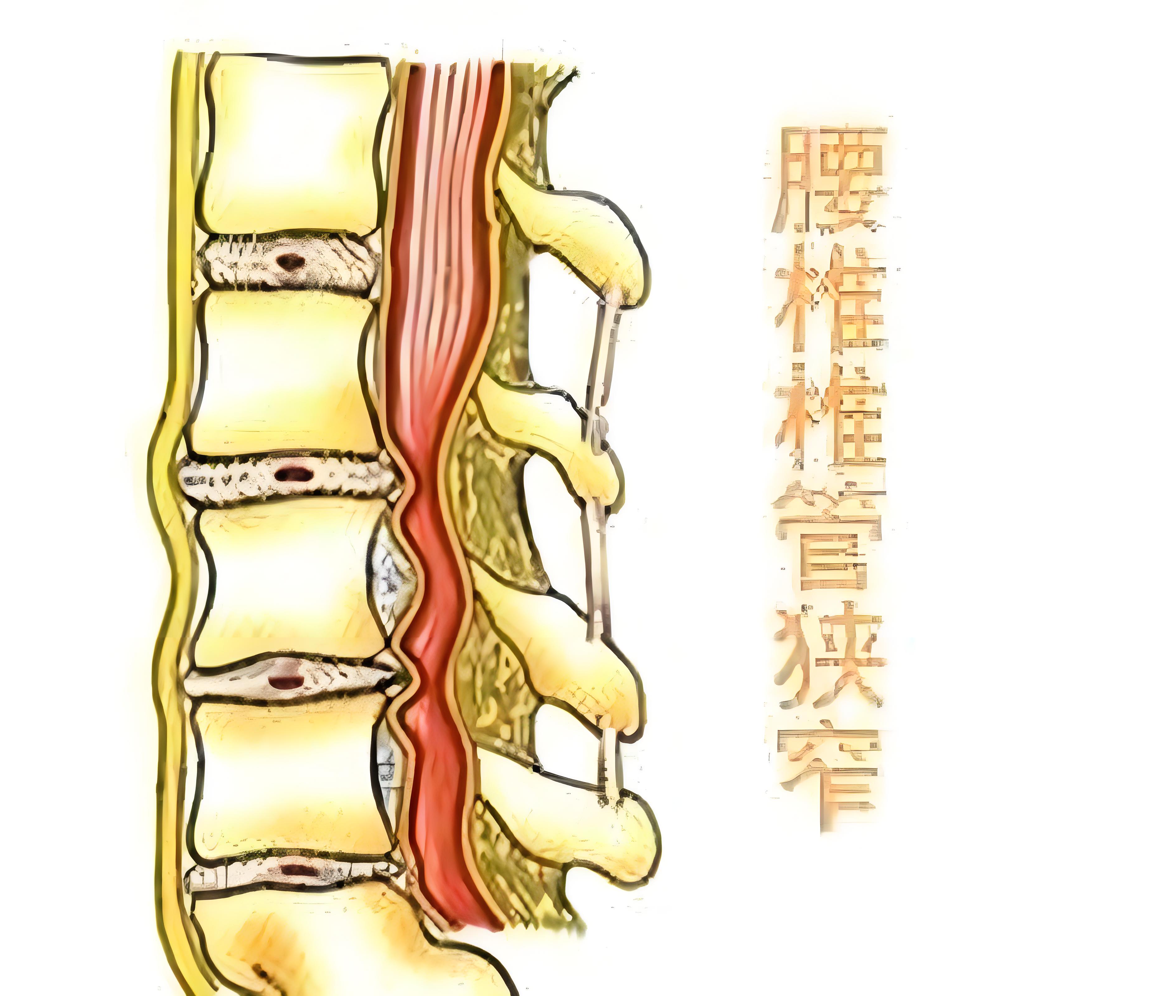 穆修