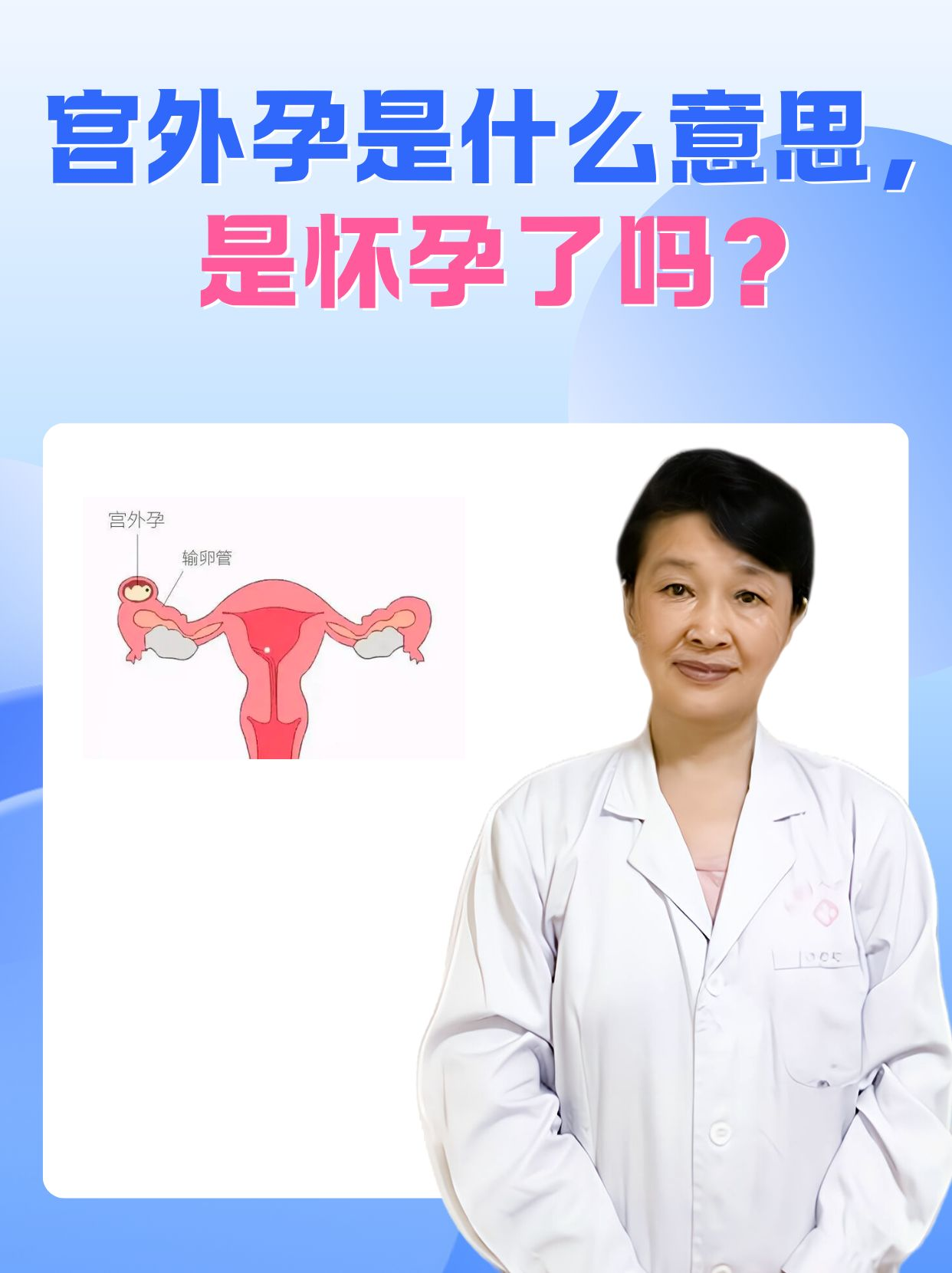 五盼雁