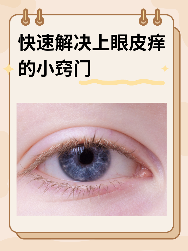 铁子濯