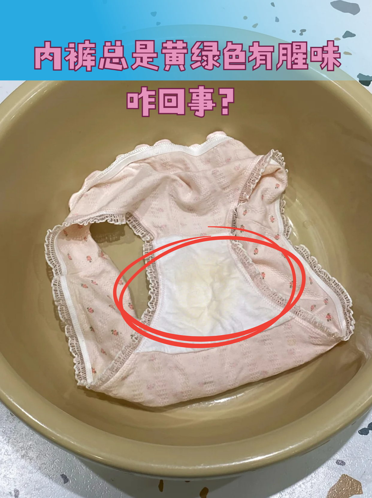 忻尔雅