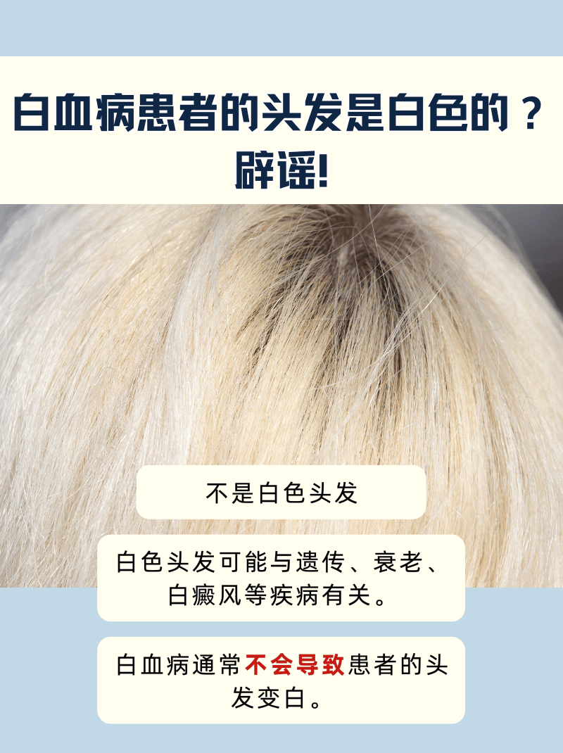 什么是白血病