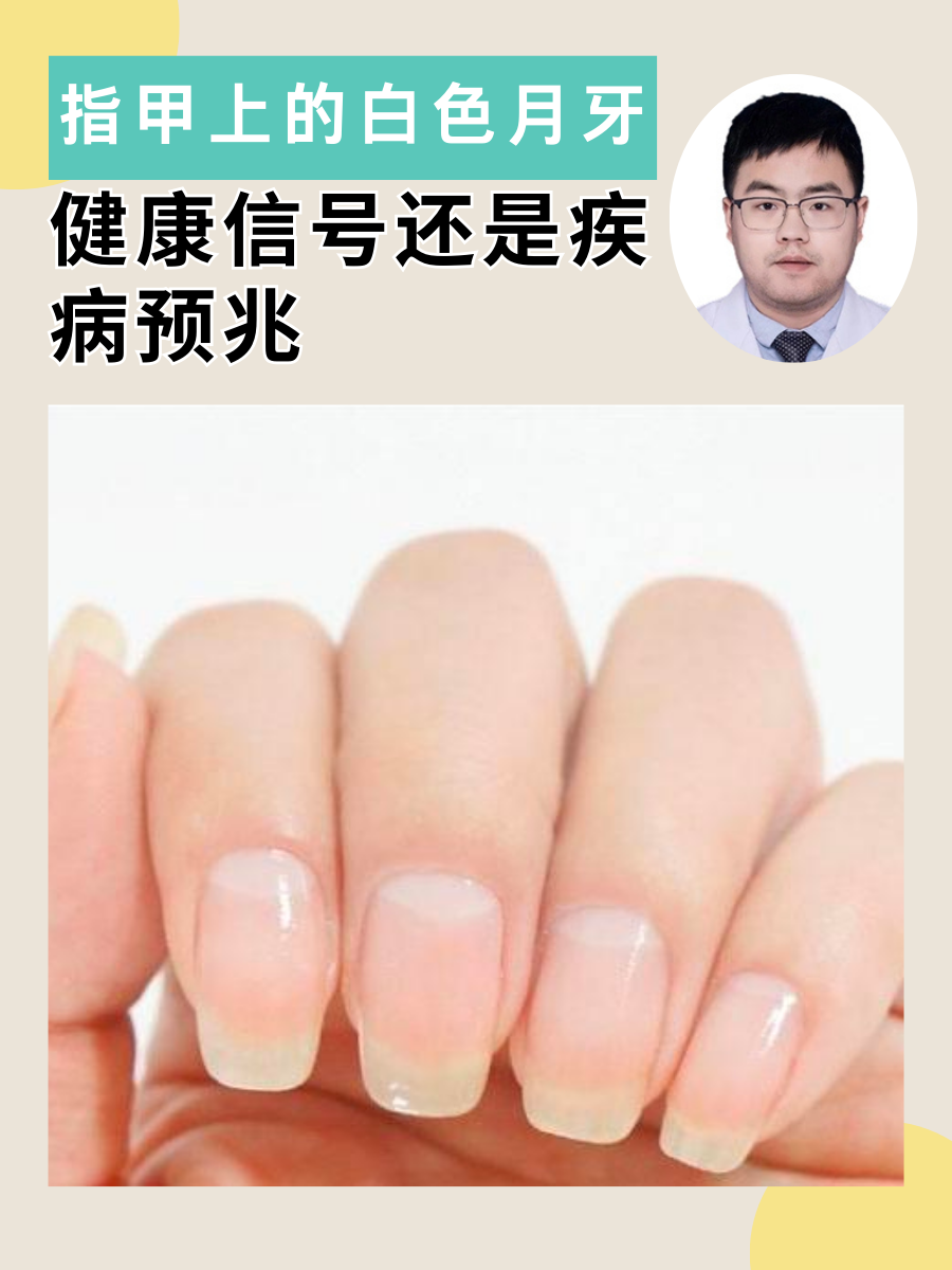 盍博赡