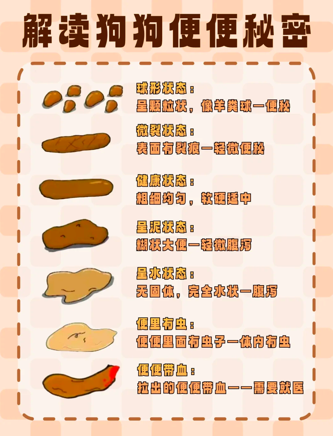 储梦琪