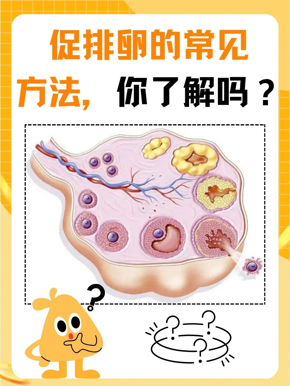 卵泡排出时有什么感觉?
