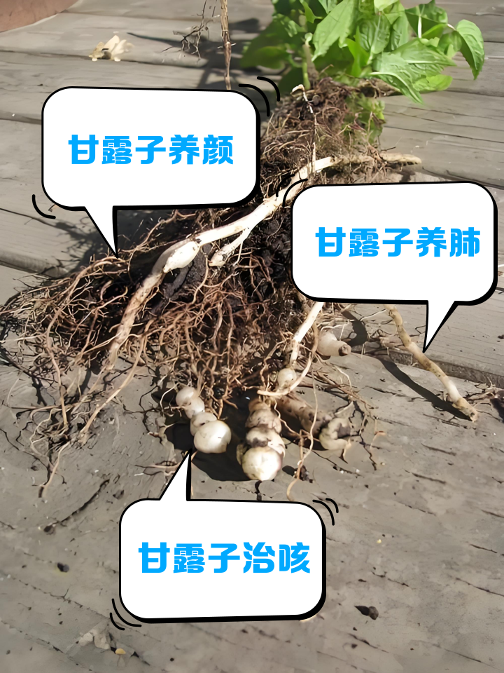 甘露醇的作用与功效