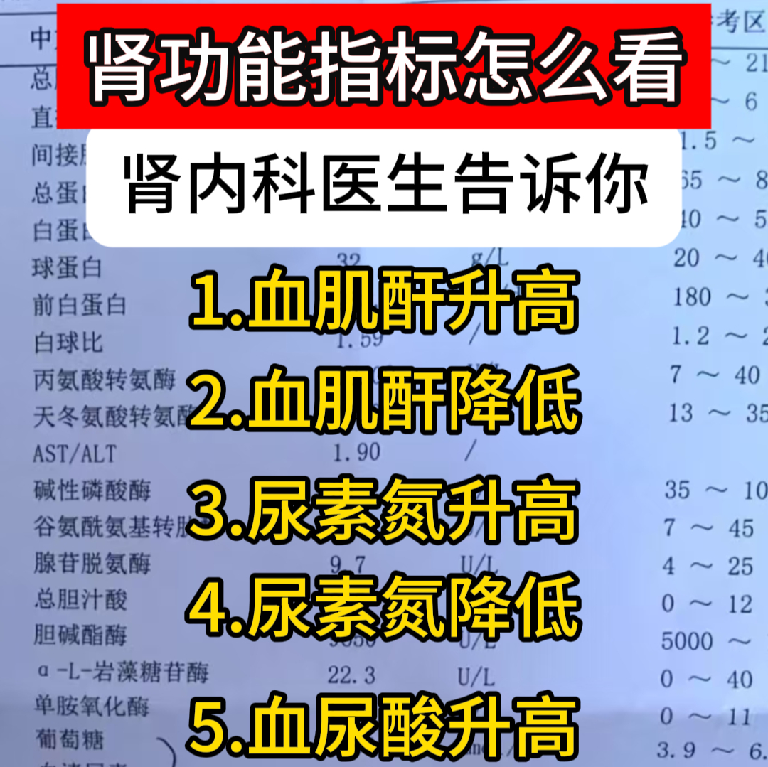 肌酐增高怎么办?