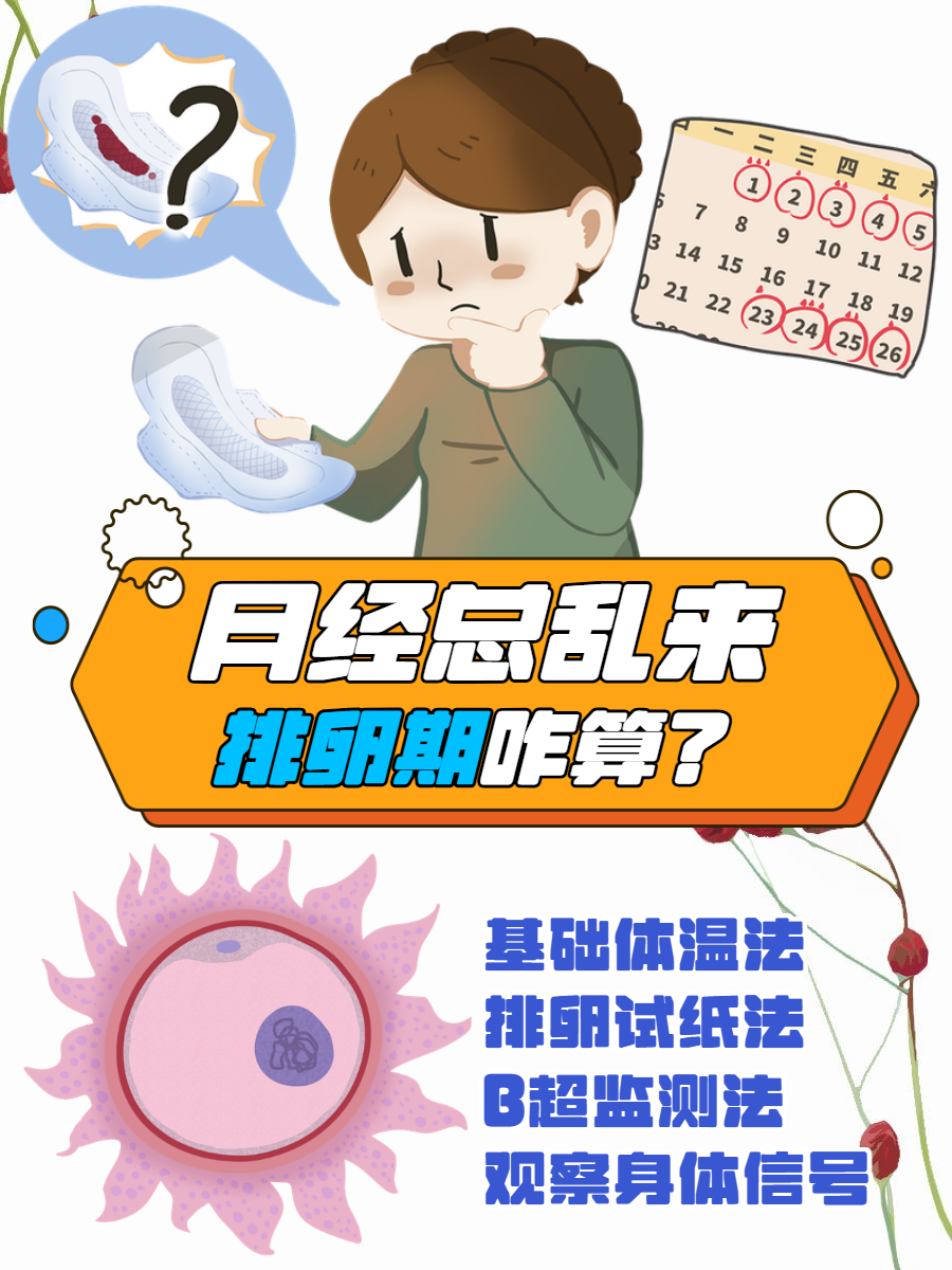 排卵推迟,月经也会推迟吗