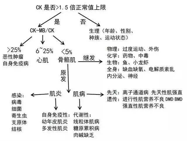 肌酸激酶高是什么原因引起的