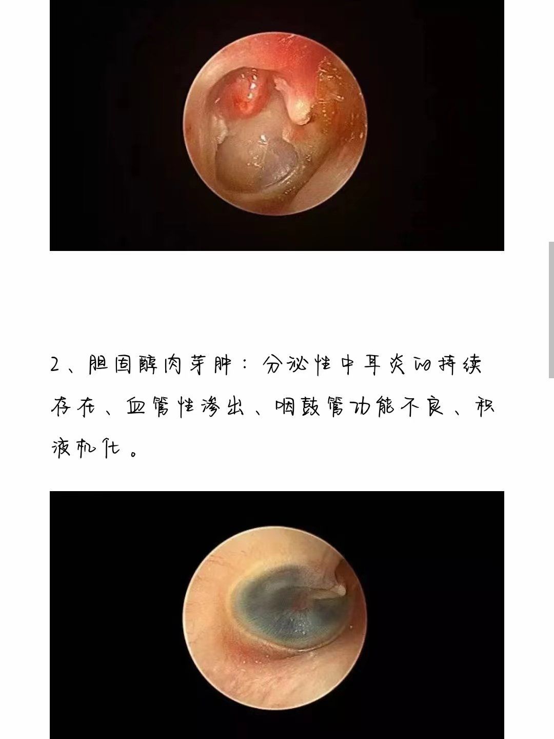 2025年11月2日 第6页