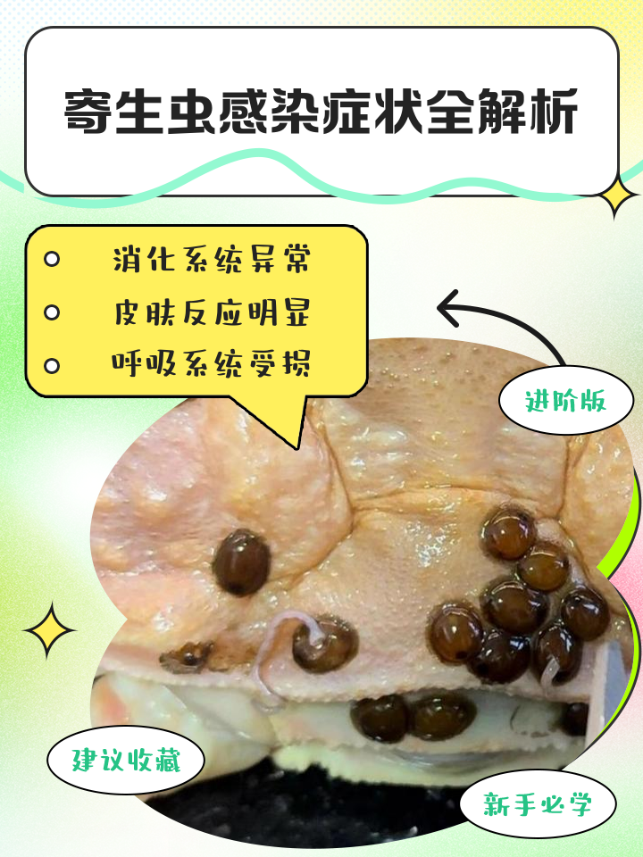 2025年11月2日 第3页