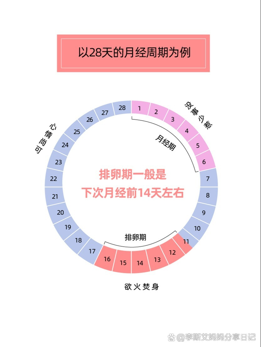 排卵日同房受孕率99%吗