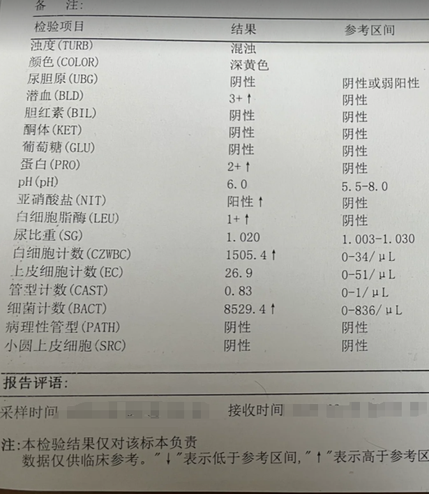 肾功能检查大概要多久